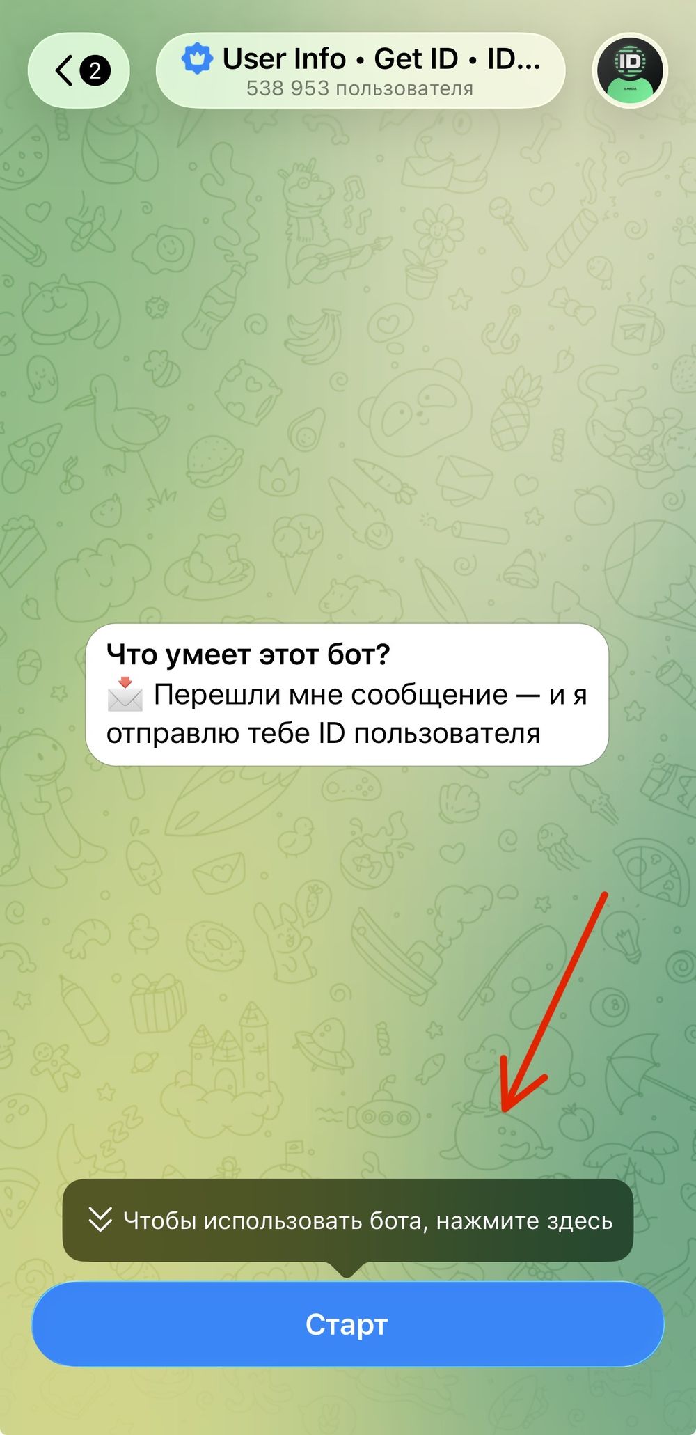 Чат с User Info ботом и кнопка Старт внизу экрана